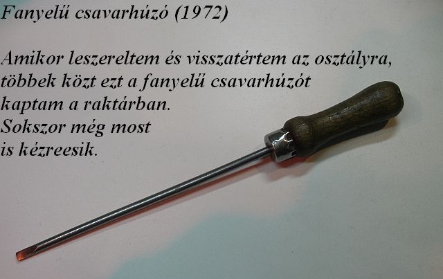 fa a nyele.jpg